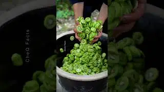 China&rsquo;s Unique Way to Turn Kiwi Into Sweet Dried Fruit! #shorts #plants #farming