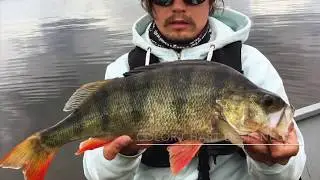 Orka Lures