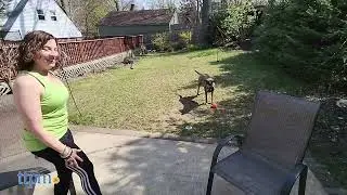Ruff Dawg Ball Dog Toy Review!1