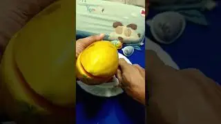 WHAT INSIDE THE OBLONG SHAPE OF PAPAYA FRUIT CUTTING #friut #fiberfruit