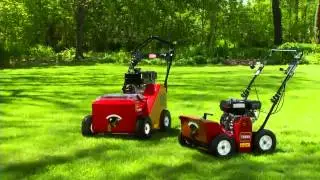 Turf Renovation Overview