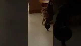Ночная смена началась