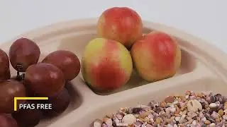 8 inch Waterproof Sustainable Durable Biodegradable Plant based Microwave Safe Disposable Salad Plat