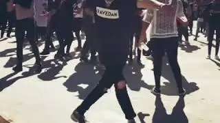 Amazing Cutting Shapes Daydream Festival by Guerrero Jah