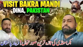 Visit Bakra Mandi, Dina Pakistan 😍🇵🇰 Bakra Mandi Ki New Update || New Prices ? Family Vlog