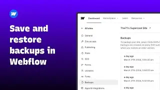 Webflow website backup and restore - Bangla