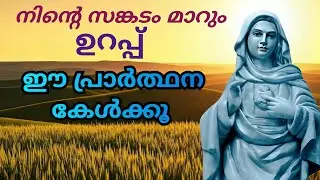 നിന്റെ സങ്കടം മാറും 🙏13/1/26 #kripasanam  #Kreupasanam #കൃപാസനംഅമ്മ