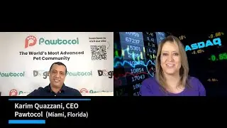 Pawtocol: забота о домашних животных с помощью технологии блокчейн | Innovators с Джейн Кинг