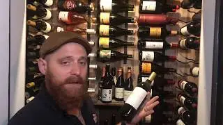 Odds and Ends - Ant's in the closet!
