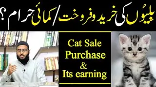 Billi ki sale purchase/Islam mein billi khareedna aur bechna/billi ki kamai haram hay?