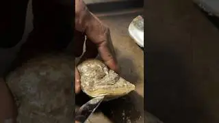 How to open an Oyster with a Butter Knife???