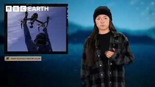 The Drones Catching Whale Snot For Science | Save Our Species | BBC Earth Science