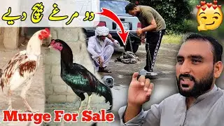Two Chickens 🐔 Sold. || I'm Happy 😊 || My Daily Routine Village Of Kashmir || 