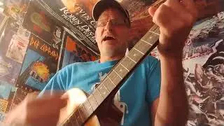 Learning to Fly by Guitar Grandpa - PAW Patrol for Vivian