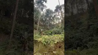 1 Bigha Eksonia Plot Only 20 Lakh