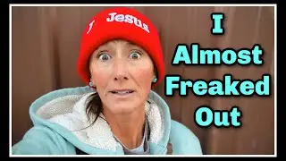 😝 Panic After Miscalculating~Goat Baby Arrivals