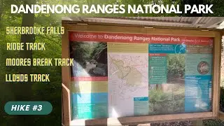 HIke #3 -  Sherbrooke Falls via Ridge Track I Dandenong Ranges National Park I Victoria