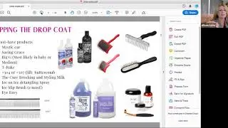 Drop Coat Seminar from Professional Handler Allison Foley