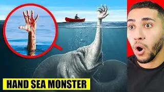 GER&Ccedil;EK HAYATTA HAND SEA MONSTER! (Kameralara Yakalandı)