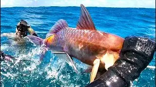 Dayz in Da Bay - Spearfishing Kaneohe Bay Hawaii 2020-2022 - 4Sides4Dives Part 1 East Side