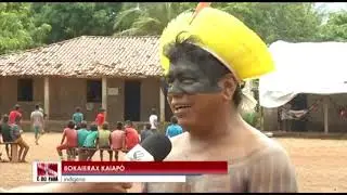 Conhe&ccedil;a a cultura dos &iacute;ndios kayap&oacute;, no sudeste do Par&aacute;