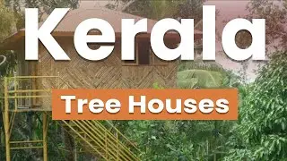 Top 10 Best Tree Houses in Kerala | India - English