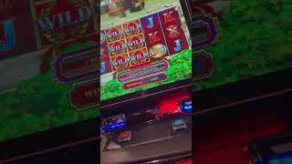 Wild power spins massive win