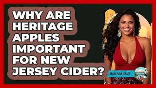 Why Are Heritage Apples Important For New Jersey Cider? - All About New Jersey