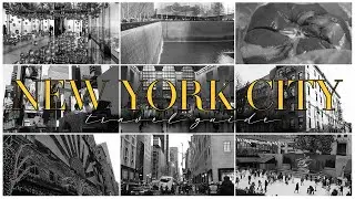 10 of the BEST things to do in NEW YORK CITY | Chloe Jemma's Travel Guide!