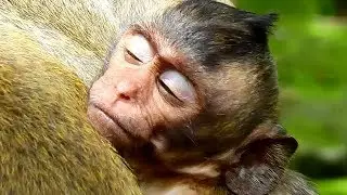 Too pity baby sleep without Amari, She is too sleepy healthy issue, Pity her so much