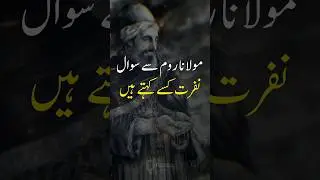 Maulana Rumi Quotes In Urdu | Nafrat Kese Kehte Hein | Islamic WhatsApp Status | #shorts