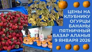 ALANYA ПЯТНИЧНЫЙ РЫНОК В ЦЕНТРЕ ЦЕНЫ НА ПРОДУКТЫ 9 ЯНВАРЯ 2026