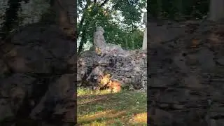 Santuario Francescano di Santa Maria della Foresta - Rieti.