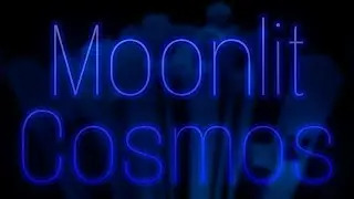 Moonlit cosmos [Tier 15] - Verification