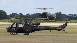 AACHF Sioux and Scout at Bicester 24th June 2017