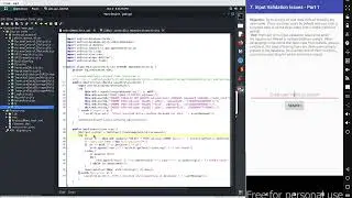 4.7 DIVA Beta Application - Improper Input Validation Part 1