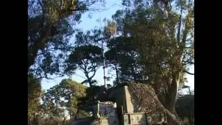 Programa Nuestro Ejército - Comunicaciones - 15/01/13