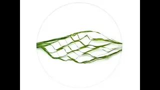 How to Produce Fibrillated Yarn for Artificial Grass in The Professional China Factory?