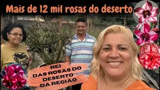 12 mil Rosas do deserto - plantas exclusivas e raras na produ&ccedil;&atilde;o do Andr&eacute; Brandt