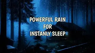 Quality Sleep With Powerful Rain And Thunder Shalking The Fragile Tin Roof In The Dark Forest
