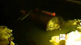 WWII bomb safely defused in Germany