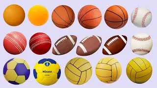 Sports Balls Kids Simple English