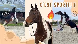 ON REPREND LE TRAVAIL APRÈS 3 SEMAINES D’ARRÊT : DUNETTE ON FIRE 💪🏼🔥