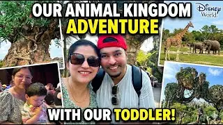 Toddler's First Safari at Disney's Animal Kingdom.