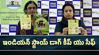 ఇండియన్ స్ట్రాయ్ డాగ్ కీప్ యు సేఫ్