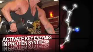 ALR Industries Chain'd Out Anabolic BCAA's