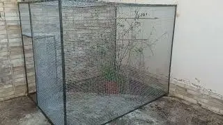 Viveiro externo 1,5m x 2 m