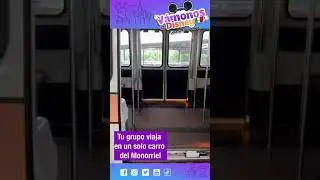 Medidas de seguridad  Magic Kingdom
