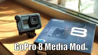 GoPro 8 Media Mod Review & Audio Test