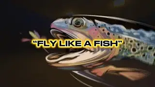 &ldquo;Fly Like a Fish&rdquo; - A flyfishing song